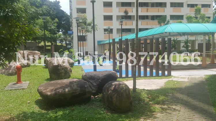 Blk 239 Bukit Panjang Ring Road (Bukit Panjang), HDB Executive #142354052